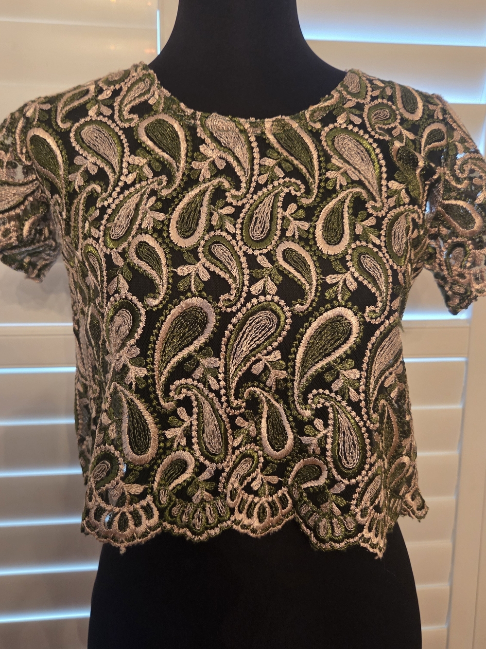 Embroidered Paisley Crop Top - Green & Cream Size Small
